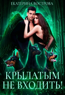 Крылатым не входить! / Екатерина Вострова