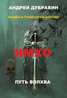 Ивашка в тридесятом царстве Книга 2: Имхо / Андрей Дубравин