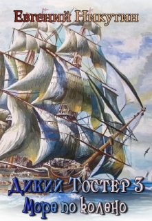 Дикий Тостер 2. Море по колено. / Евгений Никутин