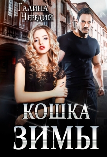 Кошка Зимы / Чередий Галина
