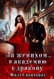 За женихом… В академию к дракону / Мила Синичкина