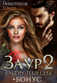 Заур 2. Заберу тебя себе / Анастасия Шерр