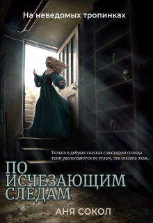По исчезающим следам / Аня Сокол