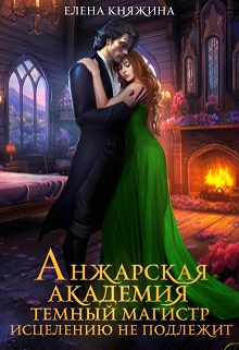 Анжарская академия. Темный магистр исцелению не подлежит / Елена Княжина