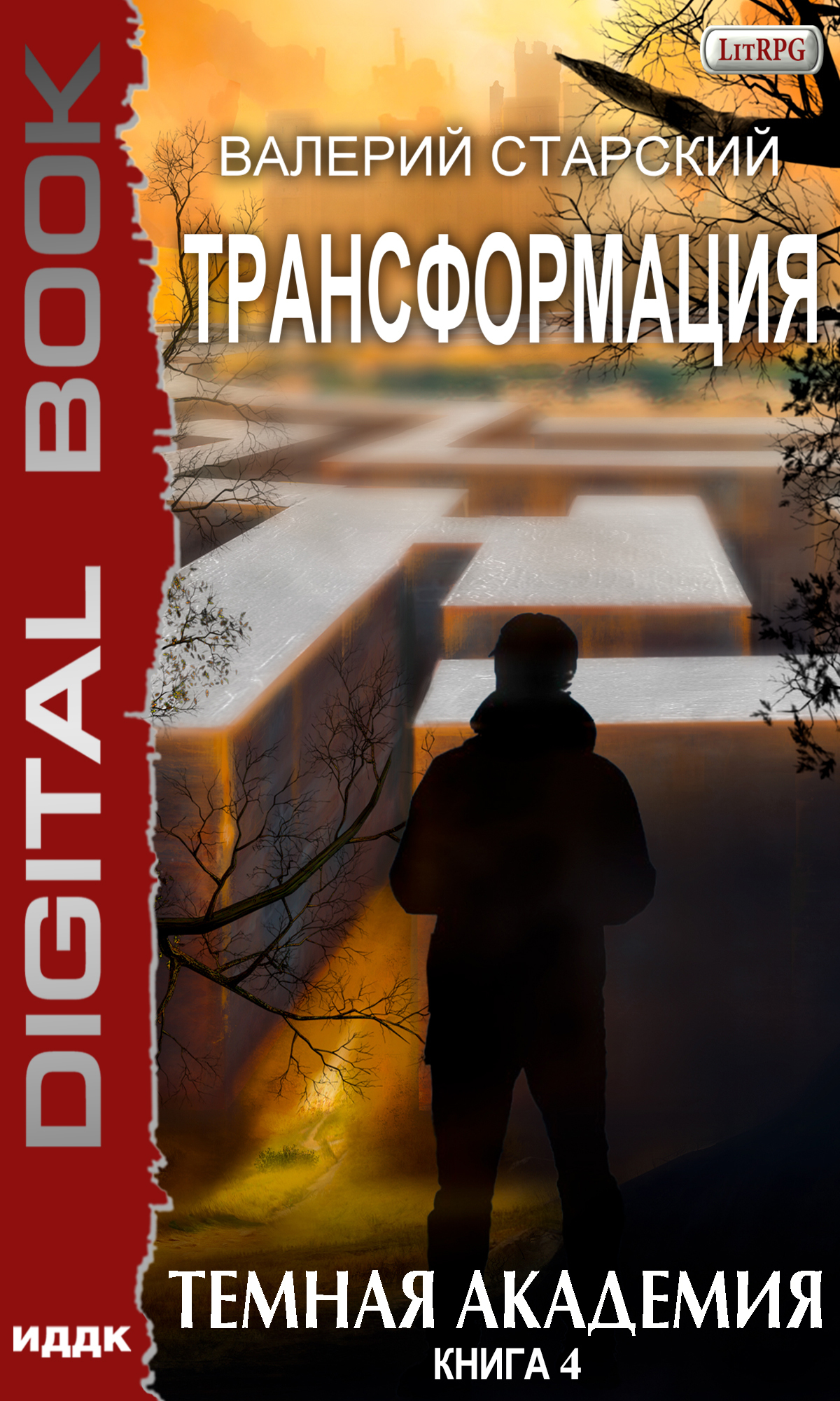 Трансформация. Книга 4. Темная академия / ИДДК