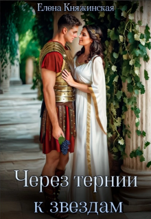 Через тернии к звездам / Елена Княжинская
