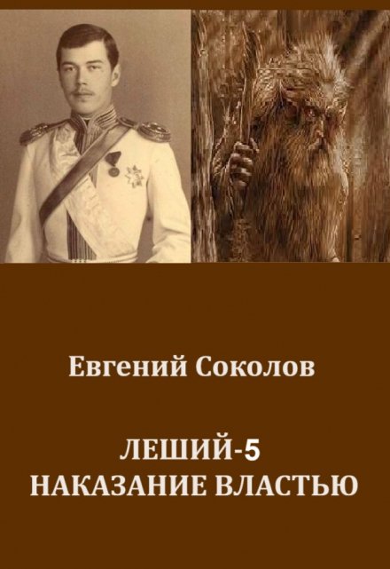 Леший-5. Наказание властью / Евгений Владимирович Соколов