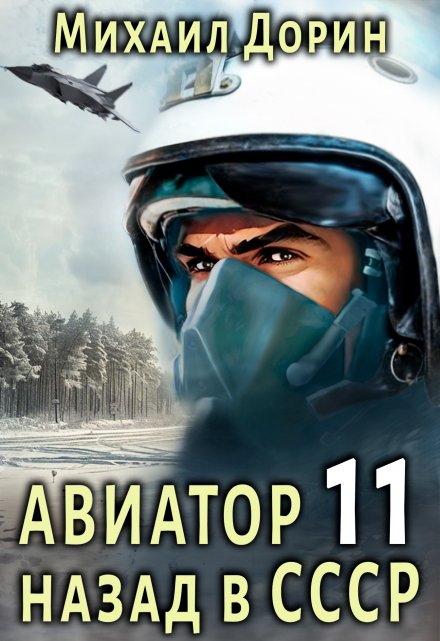 Авиатор 11 / Михаил Дорин