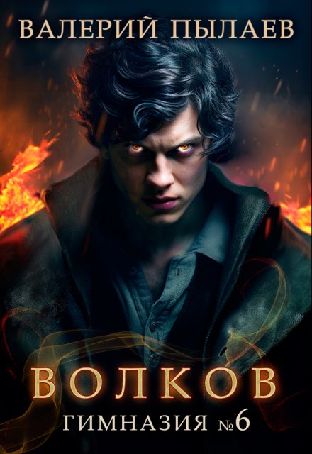 Волков. Гимназия №6 / Валерий Пылаев
