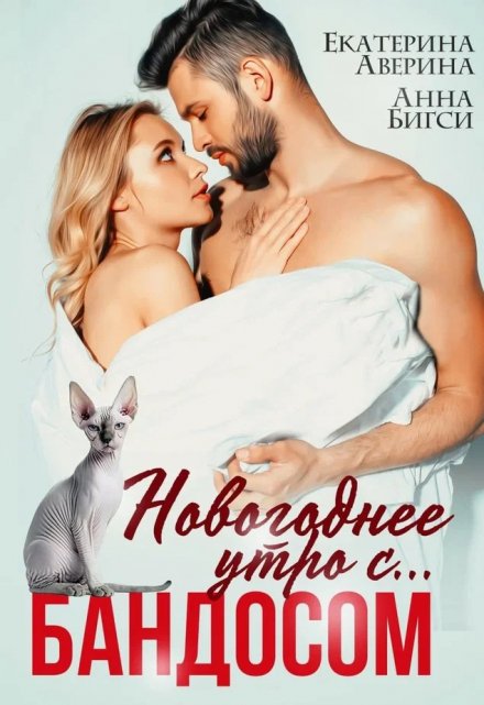 Новогоднее утро с… Бандосом! / Анна Бигси