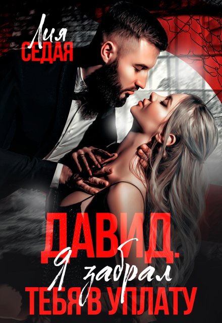 Давид. Я забрал тебя в уплату / Лия Седая