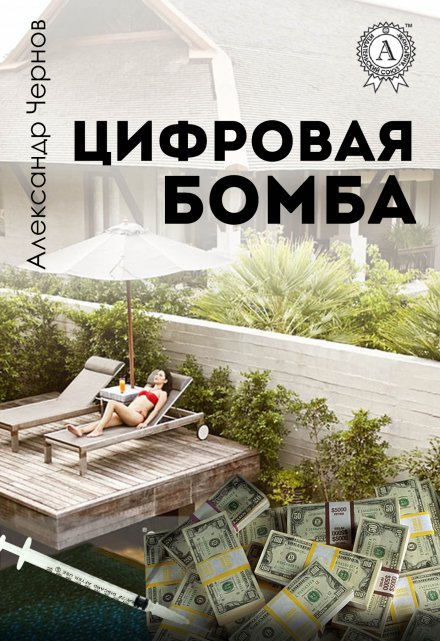 Цифровая бомба / Александр Чернов