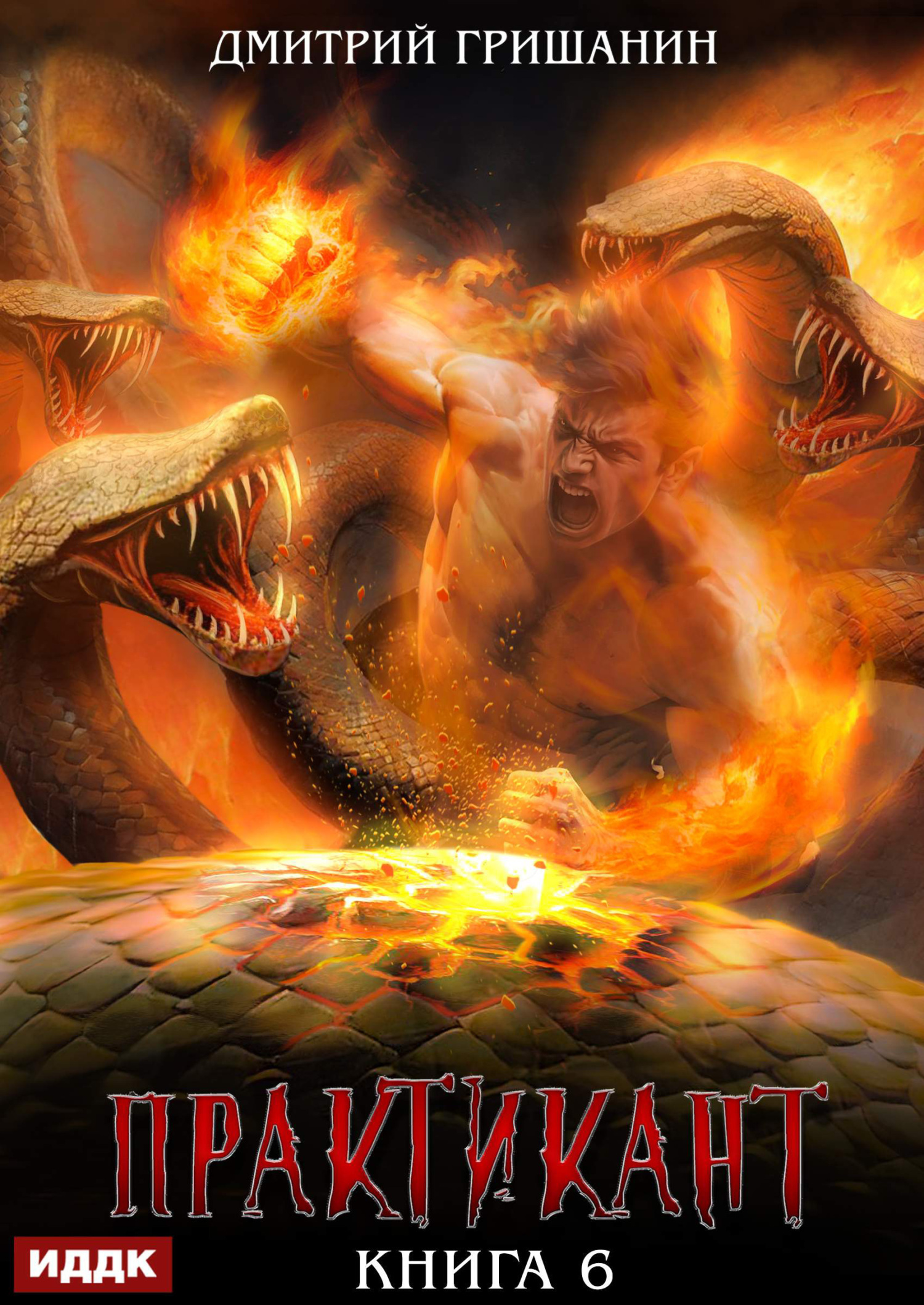 Практикант. Книга 6 / ИДДК